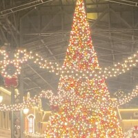 かおるのシフト発表∠(　˙-˙ )／