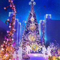 イルミネーション