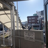 鳩めっちゃいてヒェ…