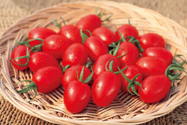 苦手なものって…？