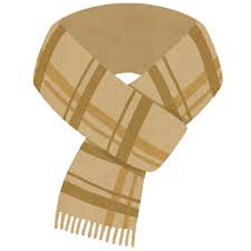 今日寒いですね