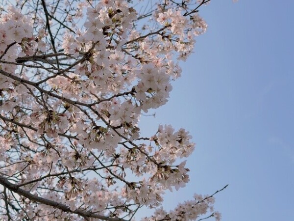 ごめんなさい🙇🏻‍♀️🦷