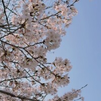 ごめんなさい🙇🏻‍♀️🦷