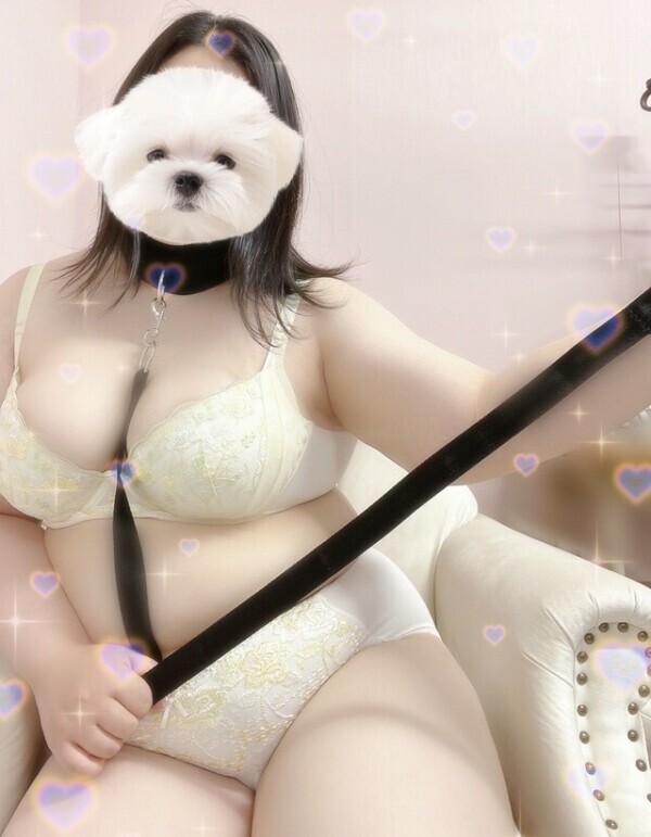 嬉しいお知らせ🐕‍🦺