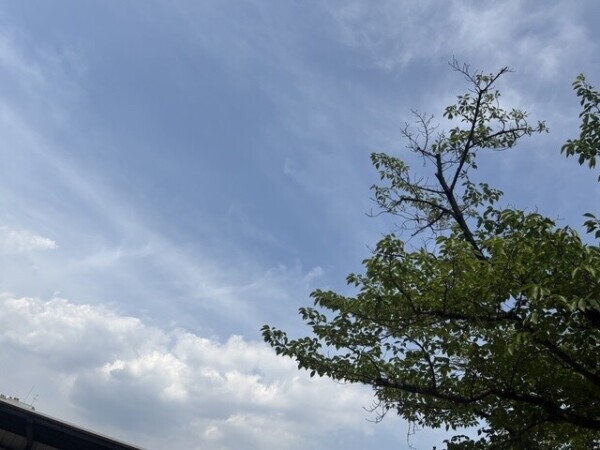 いい天気すぎる☀️