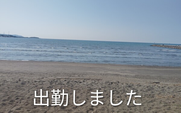 雨宿りいかがですか??