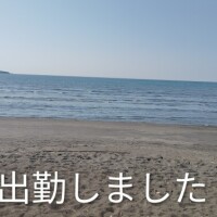 雨宿りいかがですか??