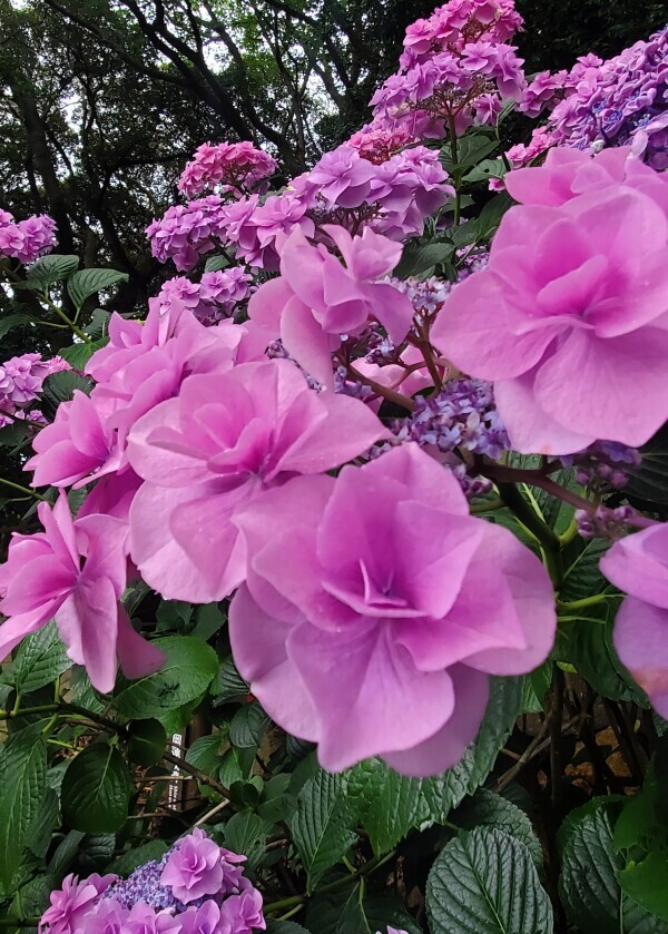 NoTitle
