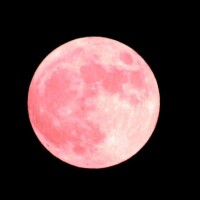 明日は