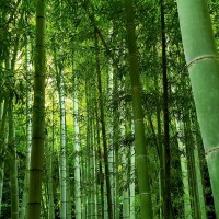 昨日もありがとうございます?今日も出勤します?値上げ前にご予約下さい??