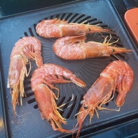 ありがとう?