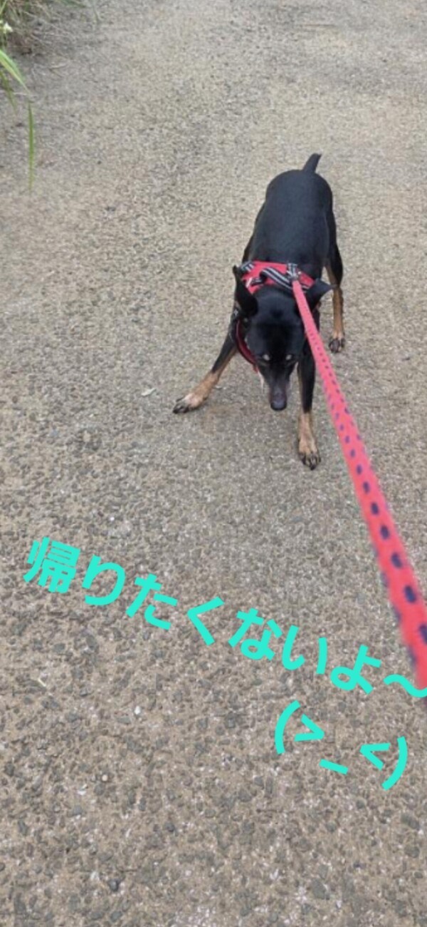 おはようございます(o^－^o)