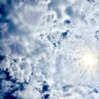 長らく
