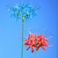 明日と明後日?