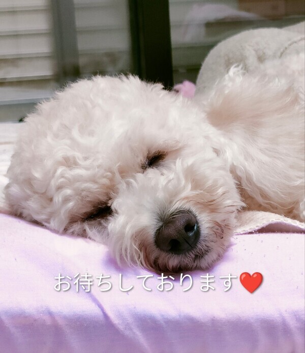 最終日～(^^)