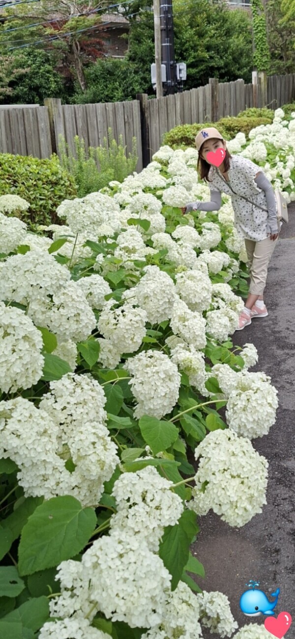 ちょっぴり早いけど&hellip;?