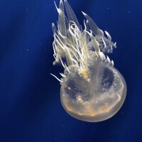 お休み