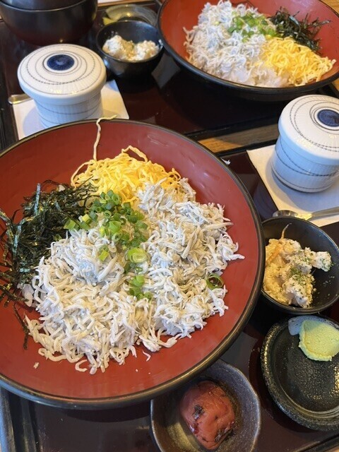 今日から??
