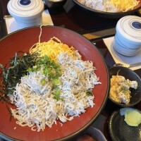 保坂みな