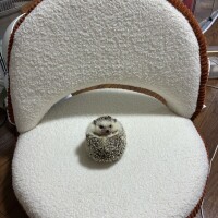 これから