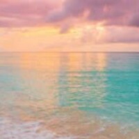 ありがとうございました?今日も遊んで下さい?マッ○大好きです?