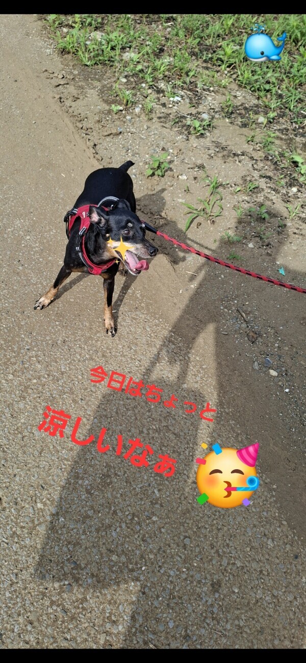 お疲れ様です??