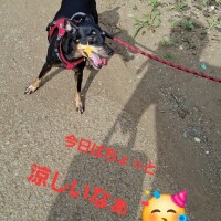 お疲れ様です??