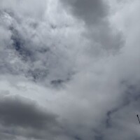 ?? 午後もゆっくり