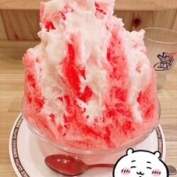 かき氷じゃぶじゃぶ食べてます