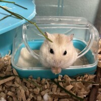 こんち！