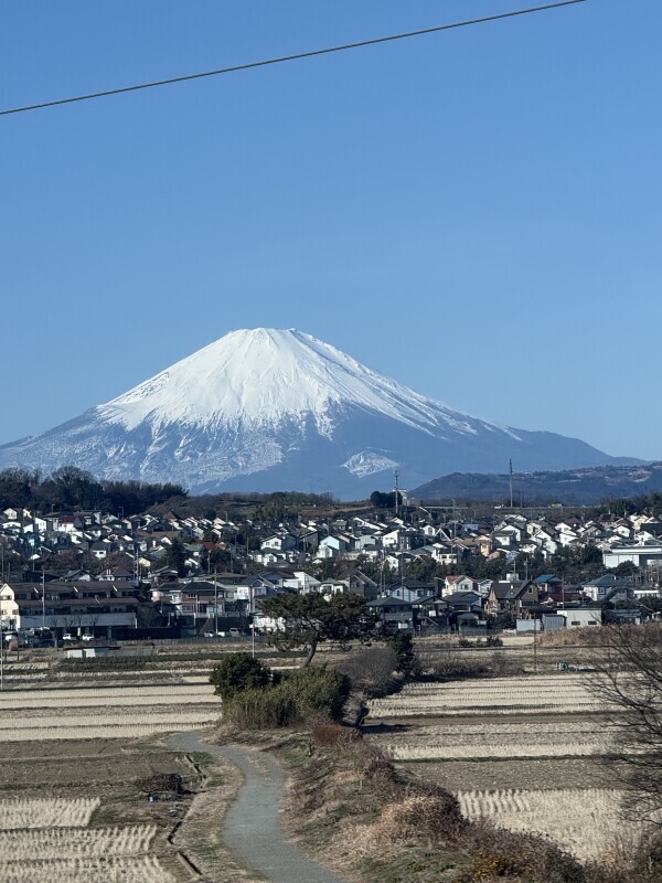 山の日??