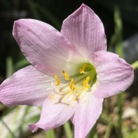 小さな幸せにありがとう?