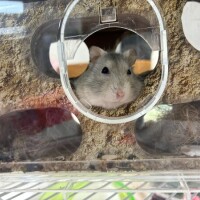 これから