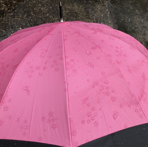 午後は雨に気をつけて??