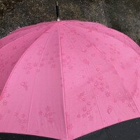 午後は雨に気をつけて??