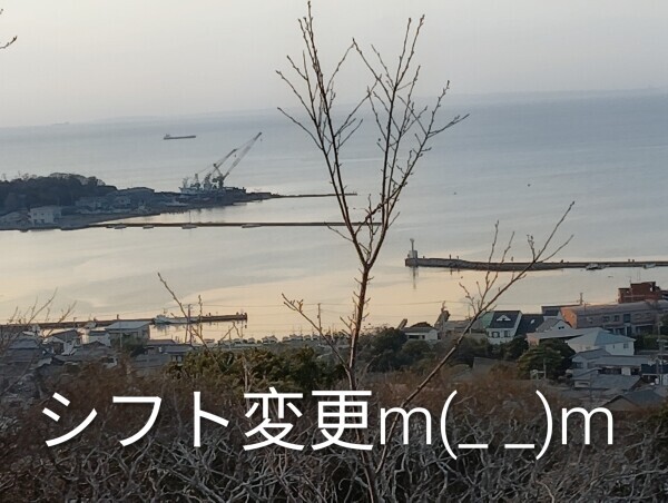 今日はいません?