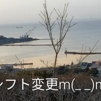 今日はいません?