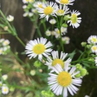 平和な今日に感謝を??