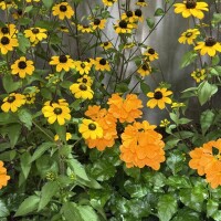 今日も笑顔で?