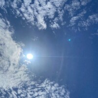 ありがとう?