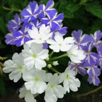 今日も素敵な時間をありがとうございました?