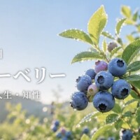 小さな実りを大切に?