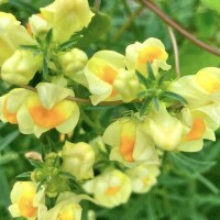 嬉しいご縁に感謝です?
