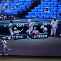 夏の甲子園???