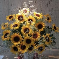 今日はちょっと嬉しい吉日?
