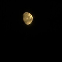 今夜の月?