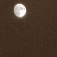 今夜のお月様??