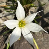 今日も穏やかな一日を?