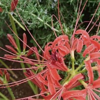 優しいお気持ちに感謝です?