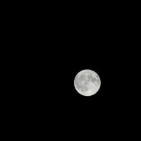 今夜は満月??